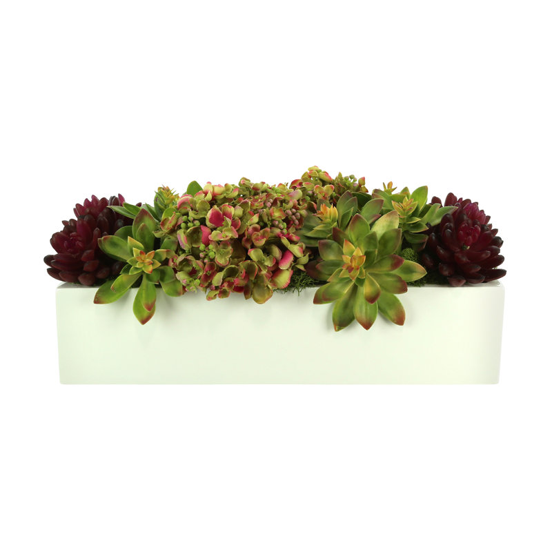 Hydrangea, Sedum And Succulents In Planter