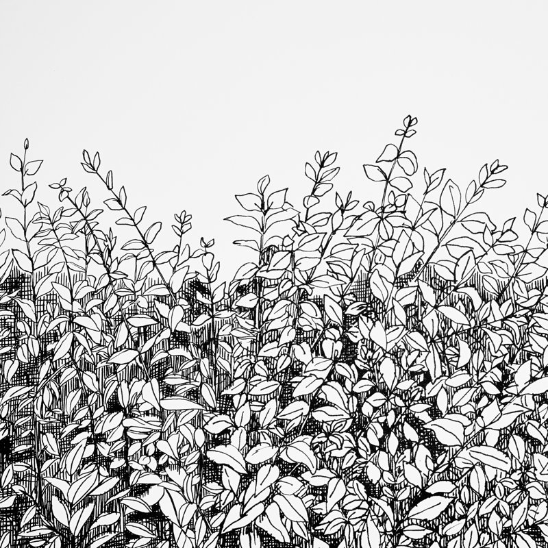Papier peint en vinyle Greenery Galore