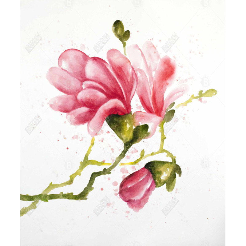 Fleurs de magnolia - Toile encadrée verte pour la chambre à coucher
