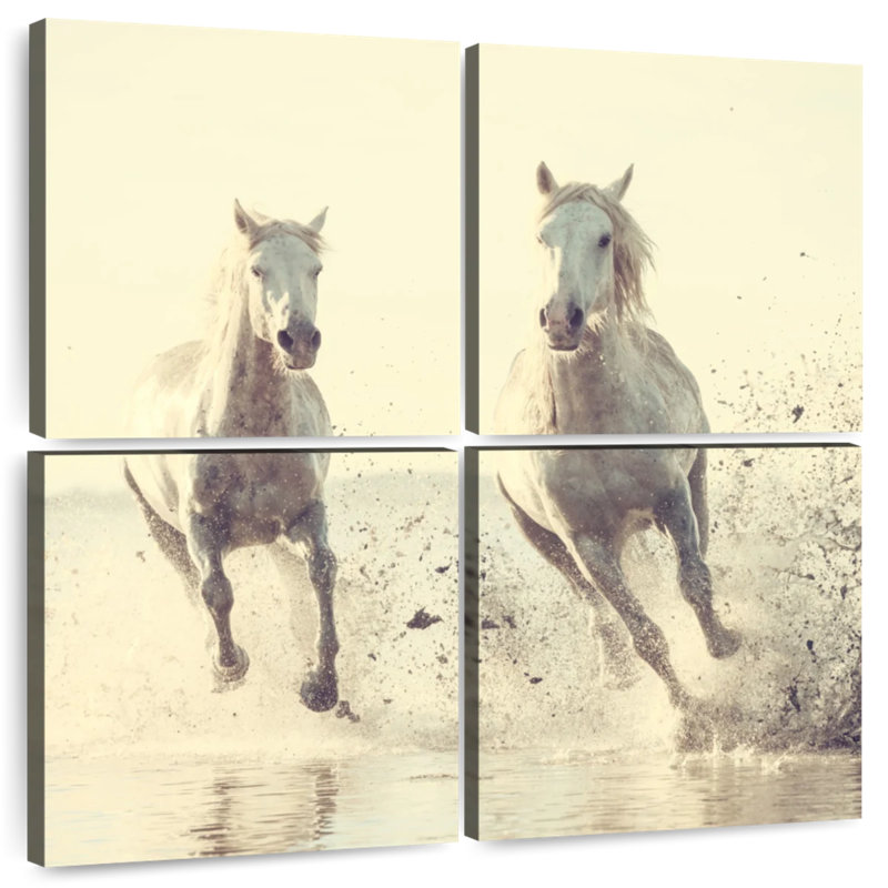 Chevaux français blancs