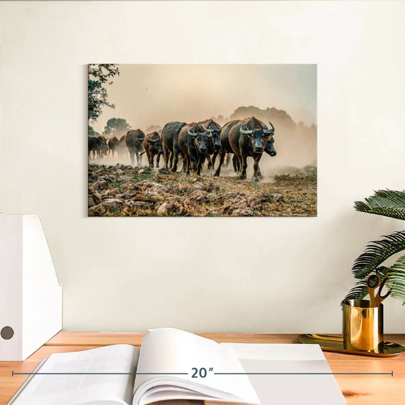 Brampt Buffalos On The Move, 8" H x 12" W