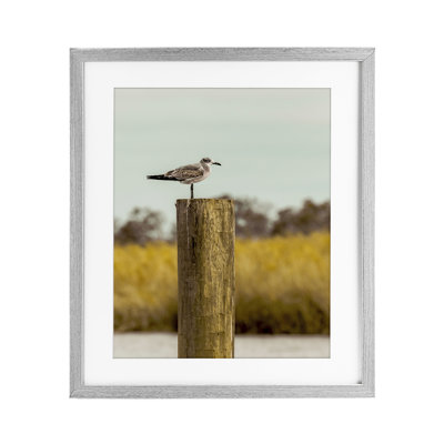 Gull On Piling Framed Print Under Glass, design by Christy Berry