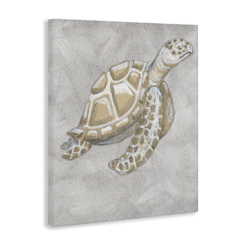 Dessin de la tortue grise, conception de Patti Bishop, H 20 po x l 16 po