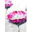 «Pink Wild Flowers», reproduction sur toile