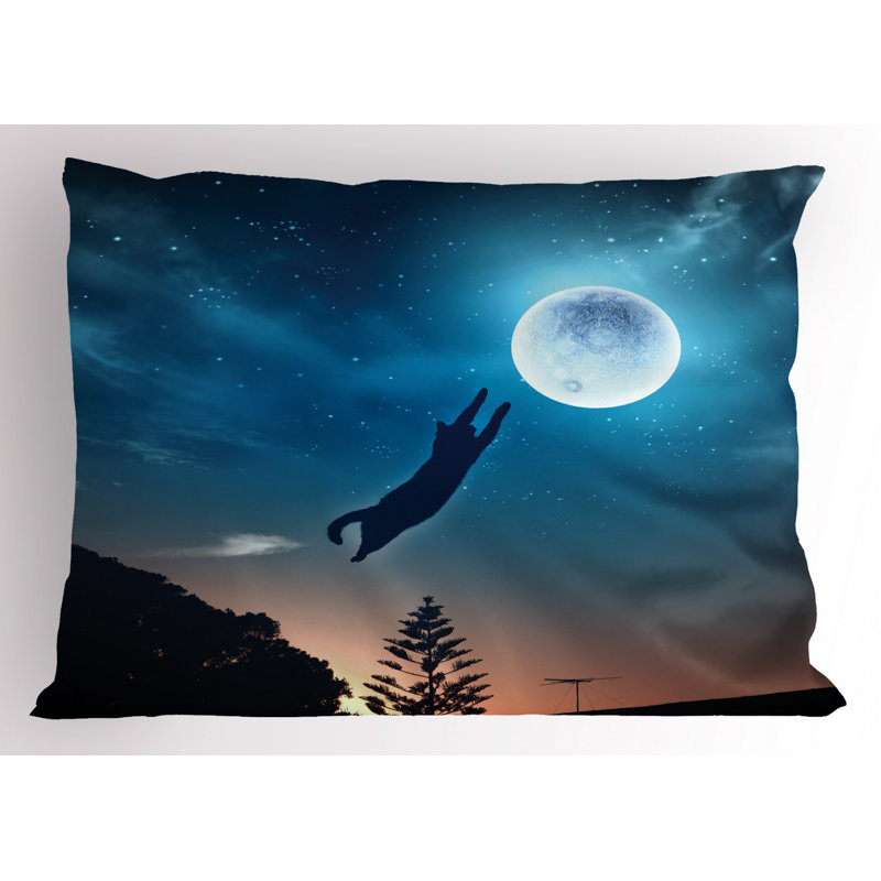 Star Polyester Sham Set, Queen