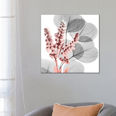 Eucalyptus Blush II by Albert Koetsier - Wrapped Canvas Painting