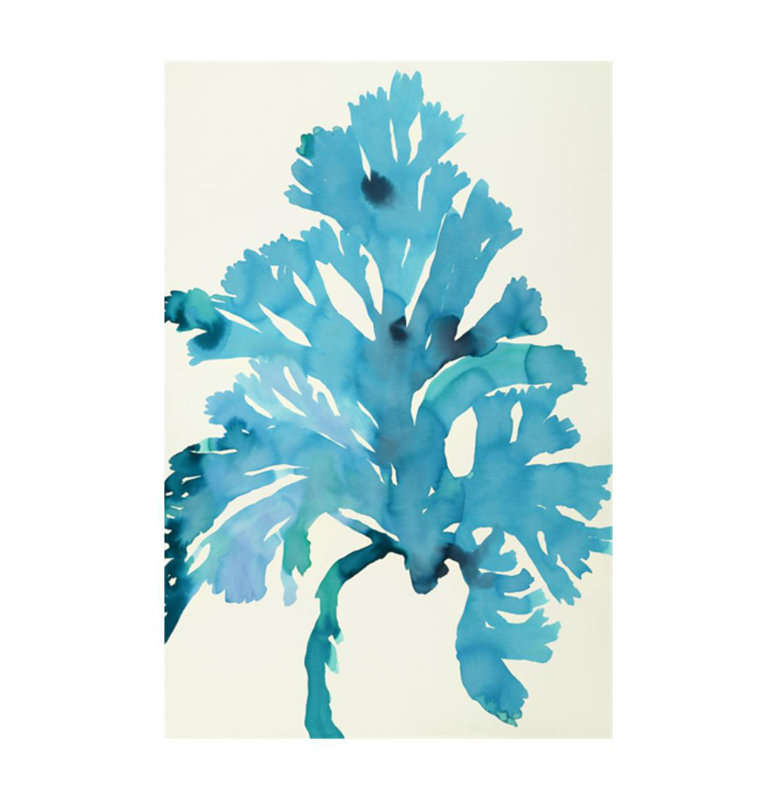Plants III Print by Hable Construction, Glass Coat, 36" H x 24" W
