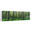 Forest Trail Chateau-Thierry France by Collezione Panoramica - Wrapped Canvas Panoramic Print-1389156632