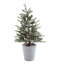 Mini sapin de Noël d'intérieur / extérieur en pot Misty