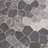 Nashly Oriental Indoor Rug