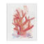 Toile corail pêche, design par Matthew Piotrowicz-425283764