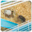 Cage à hamster à 5 niveaux avec tubes et tunnel