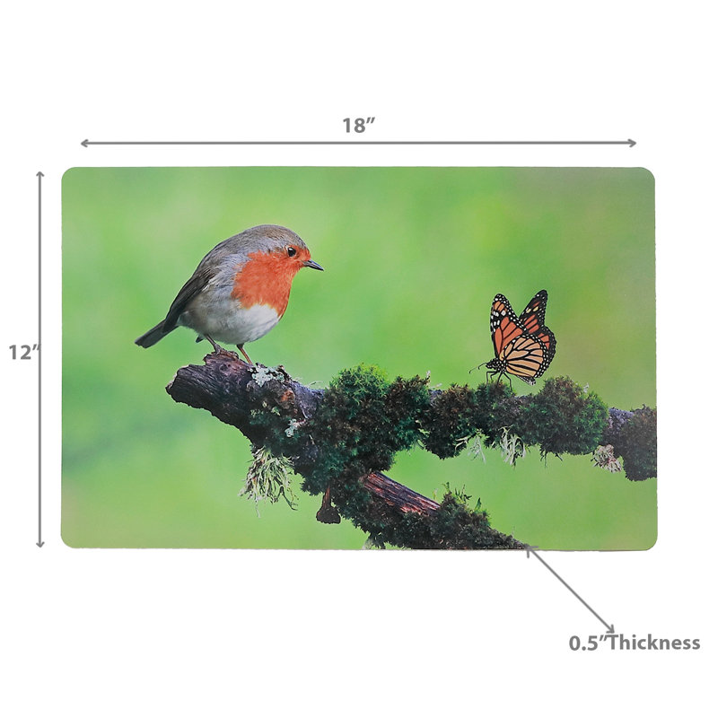 Napperon en plastique Robin et monarque 12 x 18 - ensemble de 12