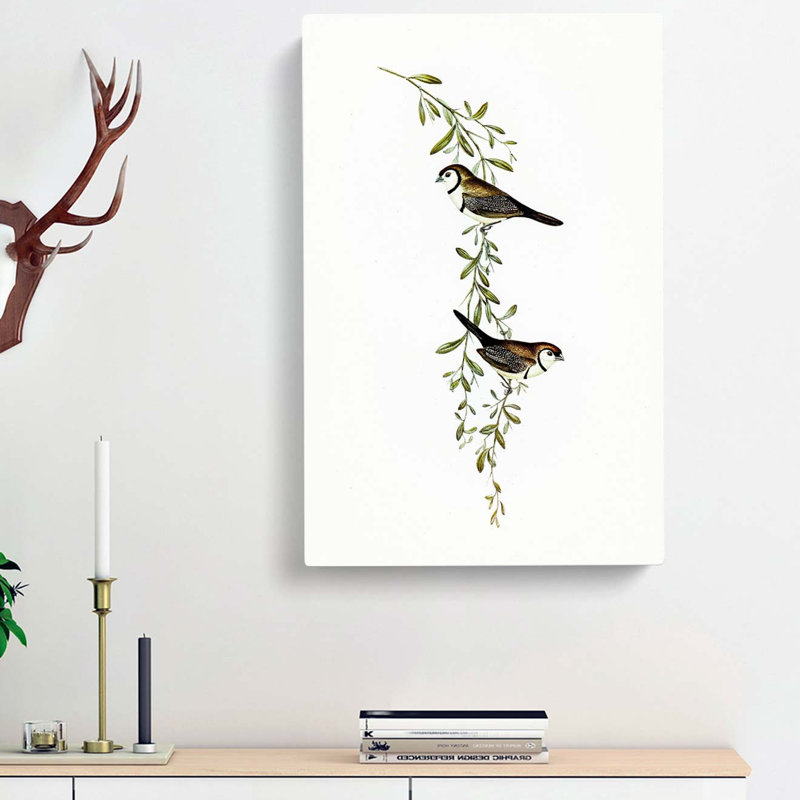 Black-Rumped Finch Birds by Elizabeth Gould - Wrapped Canvas Painting, 50cm H x 35cm W x 3cm D