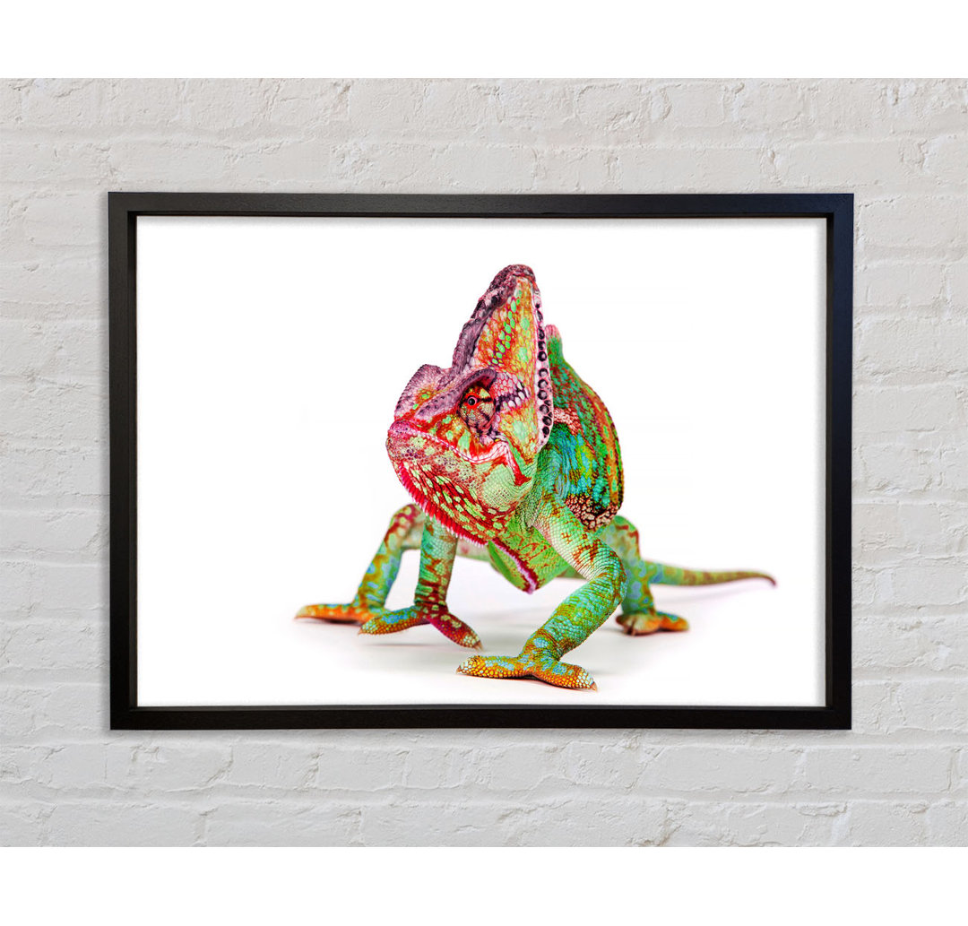 Chameleon Walk - Einzelner Bilderrahmen Kunstdrucke auf Leinwand