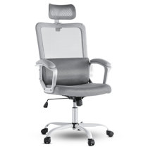 Ebern Designs Shekhar Mesh Task Chair & Reviews