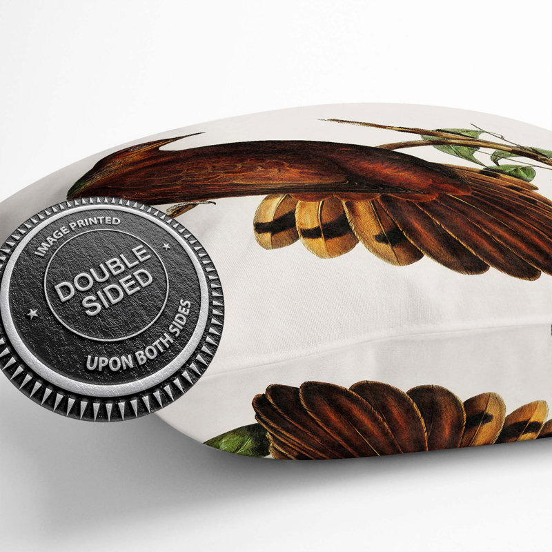 Pheasant-Tailed Pigeon by Elizabeth Gould Cushion with Filling, 55cm H x 55cm W x 20cm D