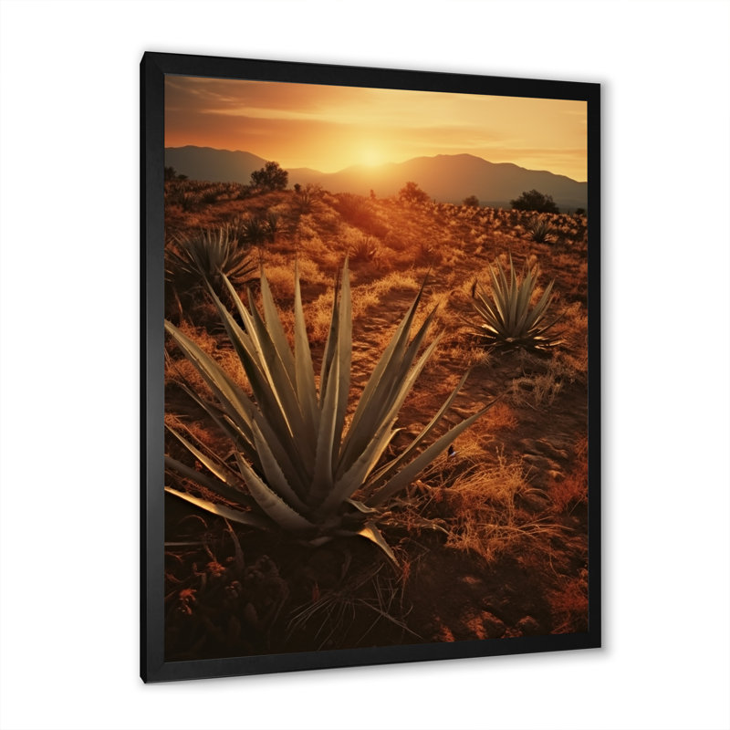 Succulent Field au Texas, Cadre simple noir, H 32 po x l 24 po x P 1 po