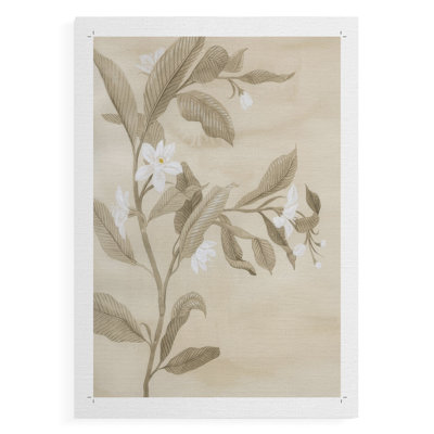 Sépia, dessin de fleurs d'oranger I - impression sur toile seulement - non encadrée