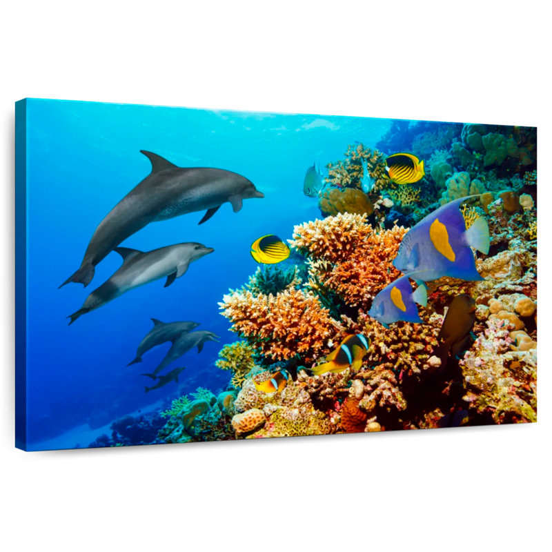 Reef Sea Life, 24" H x 36" W