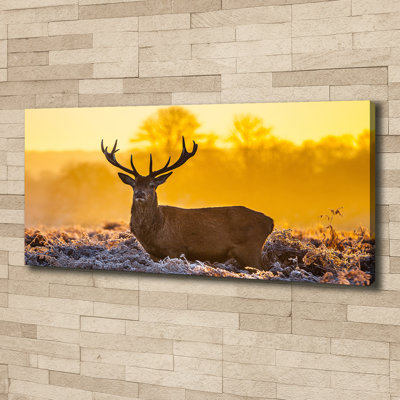 Deer Sunrise - No Frame Print on Glass