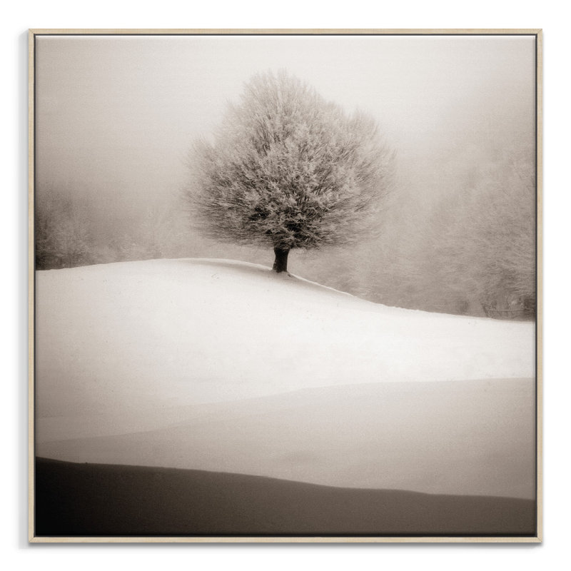 Print on Canvas, 102cm H x 102cm W, Timber Floater Frame
