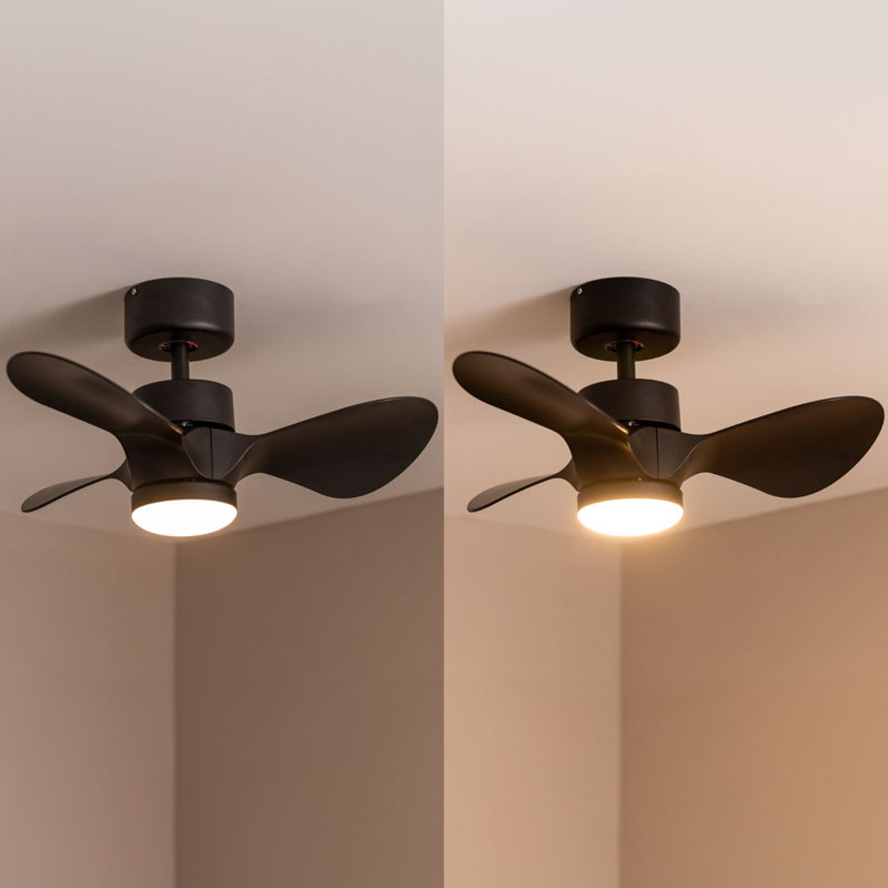 Cayleeann 24cm Ceiling Fan with LED Lights, Black