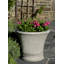 Vallier Planter-13939960