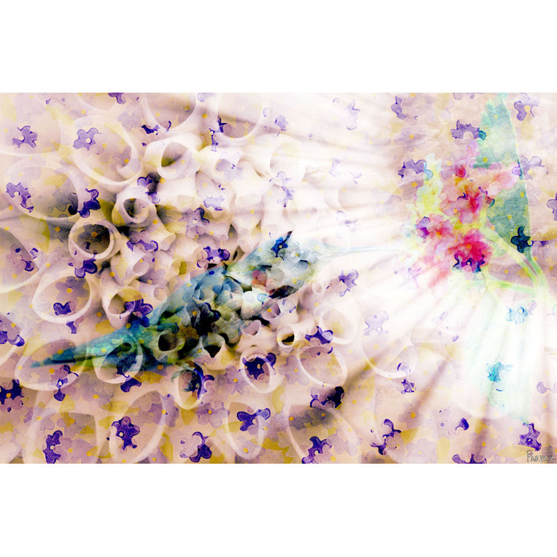 Parvez Taj - Wrapped Canvas Print, 41cm H x 61cm W x 5cm D
