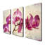 «Painted Petals XVIII», ensemble de 3 reproductions sur toiles tendues-28141614