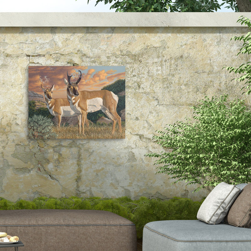 Jeff Hoff, toile de Pronghorn, H 35 po x l 47 po