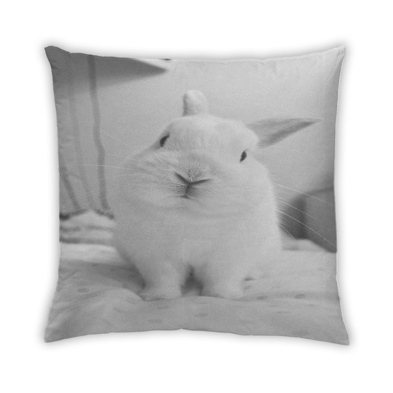 Coussin décoratif à motif d'animaux 11, Microsuède