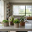Pot Planter