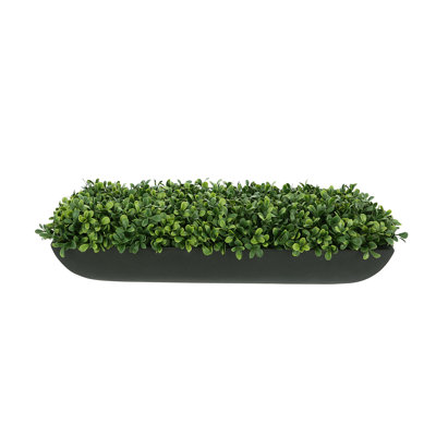 UV Rated Outdoor Boxwood Arrangement
