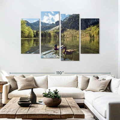 Canards colvert Alvord Frillensee
