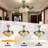 42" American Print Invisible Ceiling Fan with Light, Silver 3-Color LED Dimmable Fandelier