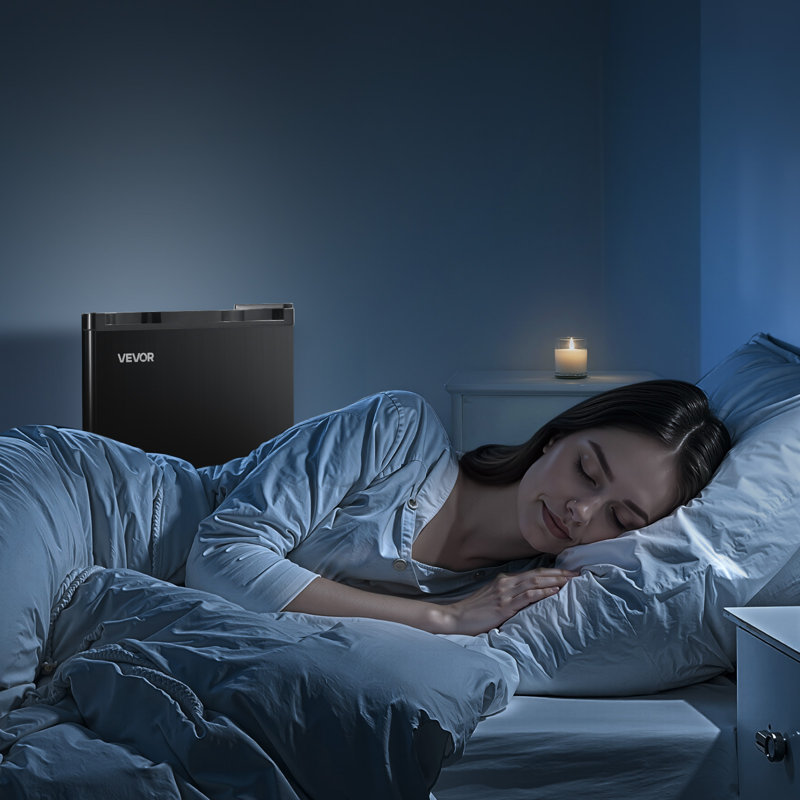 Mini réfrigérateur compact à porte simple 1,6 pi³ avec dortoir noir