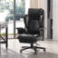 Executive Chair with Headrest-55922552