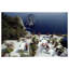 Il Canille Print by Slim Aarons-2140494975-2140494970