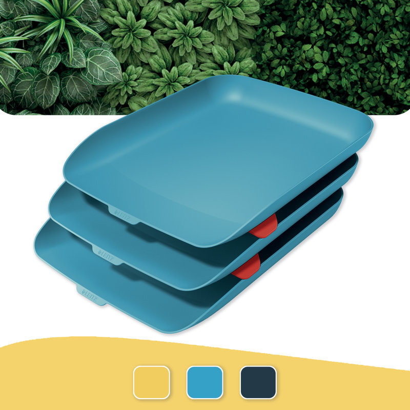 Cosy Plastic Desk Organiser, Blue