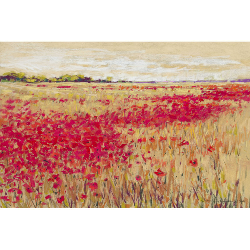 Coquelicots 'Lumière du soir I, H 24 po x l 36 po