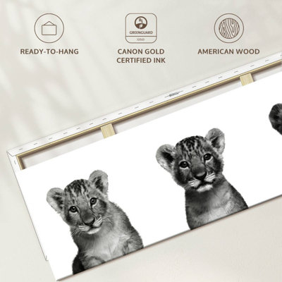 " Lion Cub Trio " Print