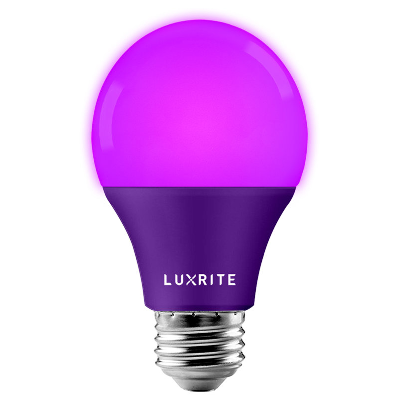 8 watts (équivalent à 60 watts), ampoule DEL A19, culot moyen E26 (standard), Mauve
