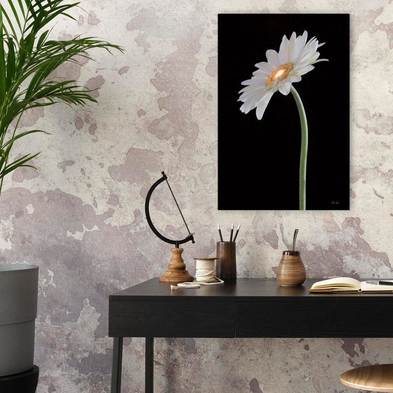 Gerber blanc clair - marguerites noires, art floral, H 24 po x l 16 po