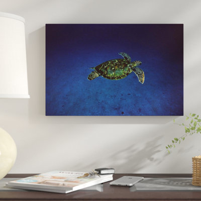 " Green Sea Turtle Swimming Off of Cocos Island, Costa Rica " Print