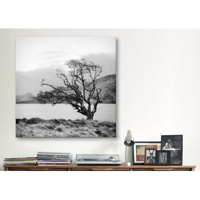 "Connemara Tree I", reproduction d'art sur toile par Geoffrey Ansel Agrons