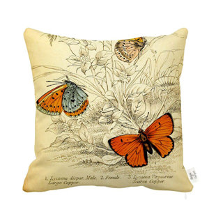 Butterflies Square Pillow Cover & Insert