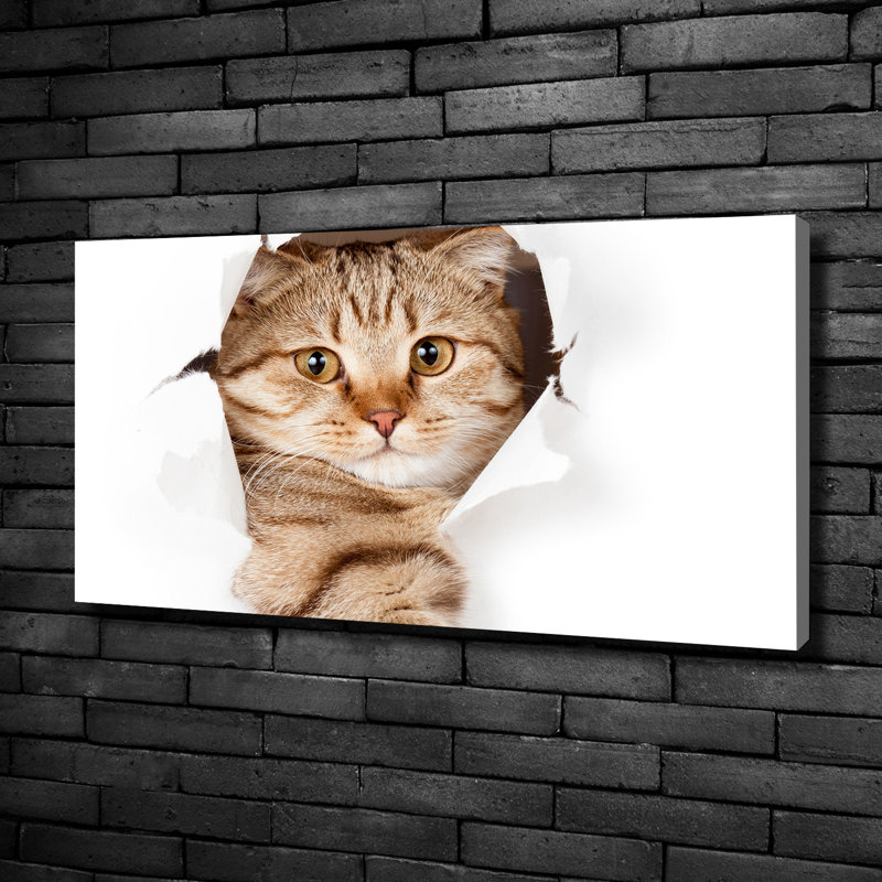 Cat - No Frame Print on Canvas