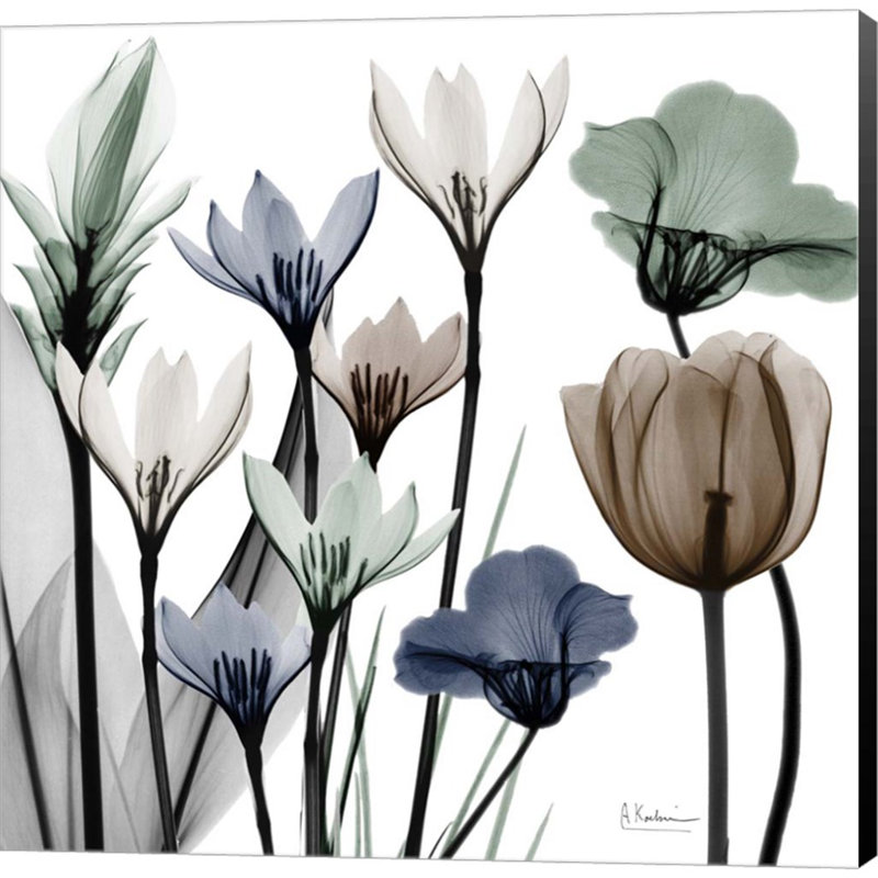 Plants & Flowers Wall Decor on Canvas