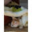 Pet Blanket